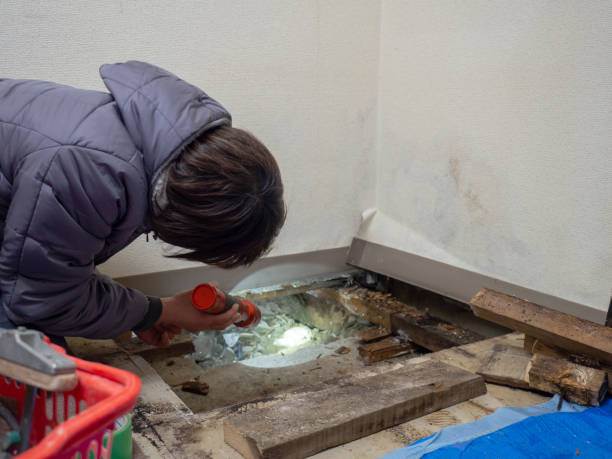 Best Air Quality Testing for Mold Spores  in Weston, OH