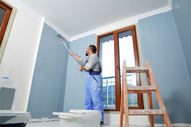 Best Mold Removal for HVAC Installations  in Weston, OH
