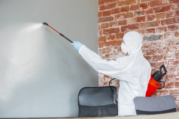 Forensic Mold Investigation in Weston, OH