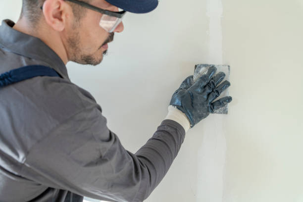 Best Comprehensive Air Testing for Mold Contaminants  in Weston, OH