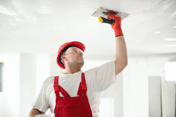 Best Emergency Mold Remediation  in Weston, OH