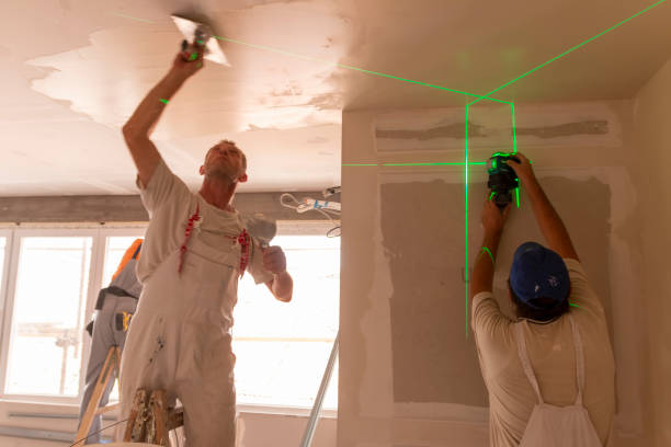 Best Post-Construction Mold Inspection  in Weston, OH