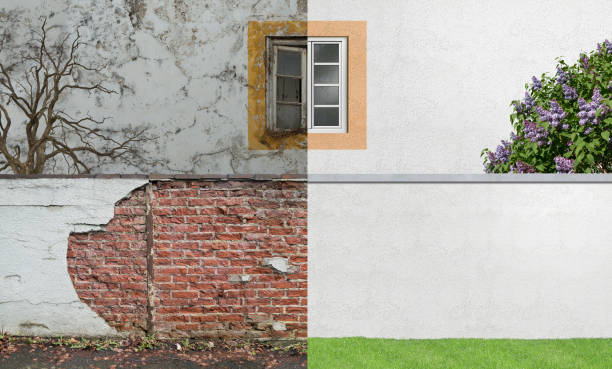 Best Attic Mold Removal  in Weston, OH