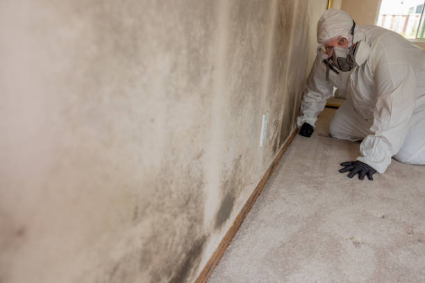 Best Forensic Mold Investigation  in Weston, OH