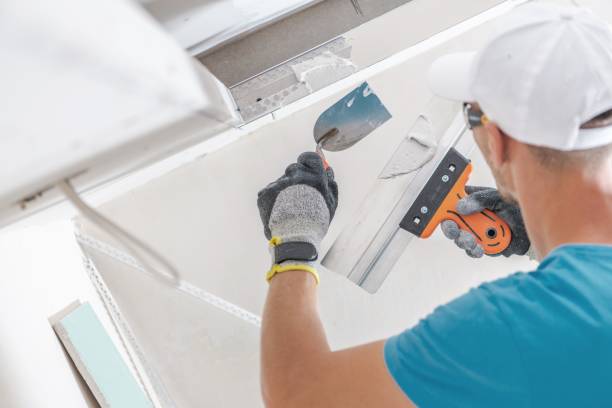 Best Mold Damage Restoration  in Weston, OH